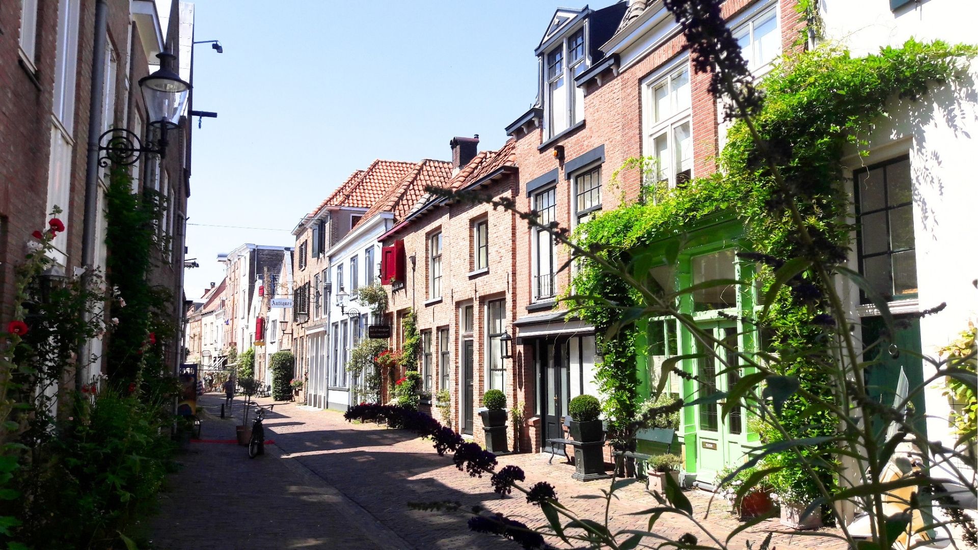 De Walstraat in het Bergkwartier - het gezelligste straatje van Deventer